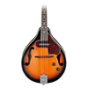 Mandolin