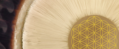 Flower Of Life