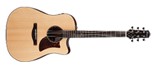 WESTERN GITARR