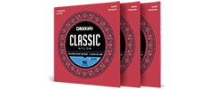 D'Addario Student