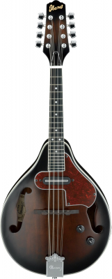 M510E-DVS i gruppen Folkinstrument / Mandolin / Ibanez hos Crafton Musik AB (310010200813)