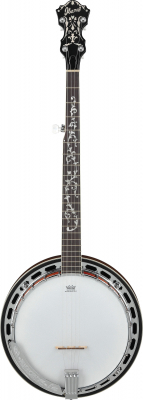 B200 i gruppen Folkinstrument / Banjo / Ibanez hos Crafton Musik AB (310025601313)