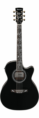 AC391RCE-BKH i gruppen Gitarr / Stlstrngad Gitarr / Grand Concert hos Crafton Musik AB (310125800813)