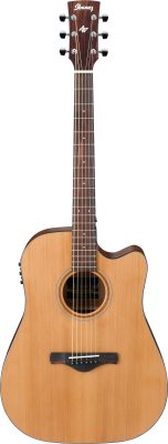 AW65ECE-LG i gruppen Gitarr / Stlstrngad Gitarr / Artwood hos Crafton Musik AB (310127371212)