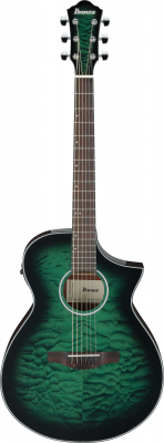 AEWC16QA-TEH i gruppen Gitarr / St�lstr�ngad Gitarr / AEWC hos Crafton Musik AB (310134641114)