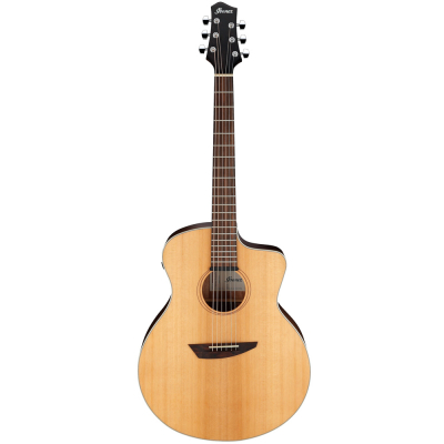 PA230E-NSL i gruppen Gitarr / Stlstrngad Gitarr / PA hos Crafton Musik AB (310143321313)