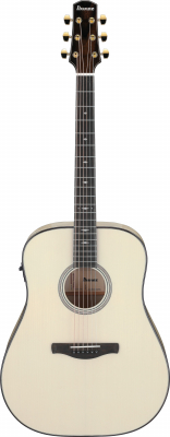 AAD371E-ATW i gruppen Gitarr / Stålsträngad Gitarr / AAD Advanced Acoustic hos Crafton Musik AB (310143371313)