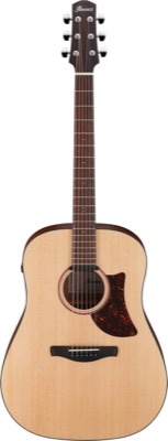 AAD100E-OPN i gruppen Gitarr / Stlstrngad Gitarr / AAD Advanced Acoustic hos Crafton Musik AB (310143541313)