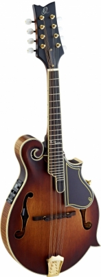 RMFE100AVO i gruppen Folkinstrument / Mandolin / Ortega / Med Pickup hos Crafton Musik AB (332356103249)