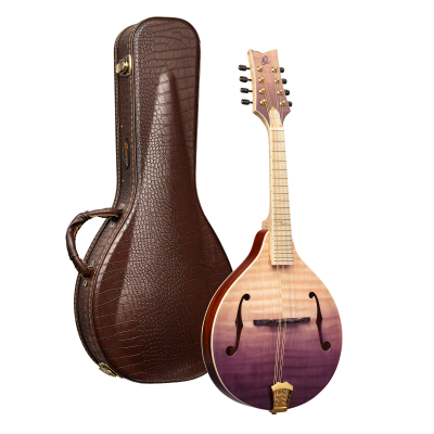 RMA200PF i gruppen Folkinstrument / Mandolin / Ortega / A Style hos Crafton Musik AB (332358053249)
