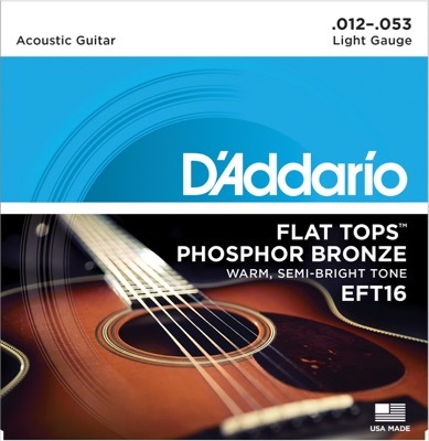 EFT16 i gruppen Strngar / Gitarrstrngar / D'Addario / Acoustic Guitar / Phosphor Bronze Flat Tops hos Crafton Musik AB (370286007050)