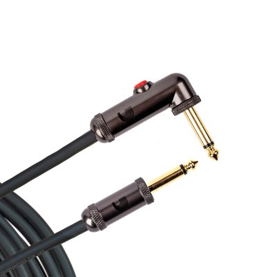 PW-AGLRA-10 i gruppen Kablar / D'Addario Accessories / Instrument Cables / Custom Series hos Crafton Musik AB (370701937050)