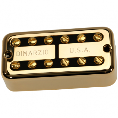 DP292FGBK i gruppen Pickups / Elgitarr / DiMarzio / Filter'tron hos Crafton Musik AB (376099147650)