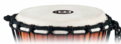 HEAD-56 i gruppen Percussion / Meinl Percussion / Djembe / Tillbehr hos Crafton Musik AB (730561564016)