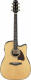AAD381CE-NT AAD381CE-NT