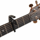 PW-CP-10 PW-CP-10